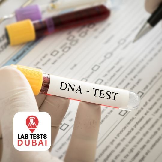 24G DNA Ancestry Test