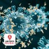 Anti-Infliximab Antibodies Test