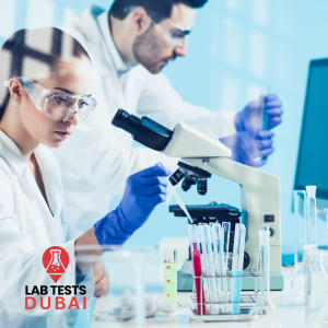 Apolipoprotein B (ApoB) Serum Test