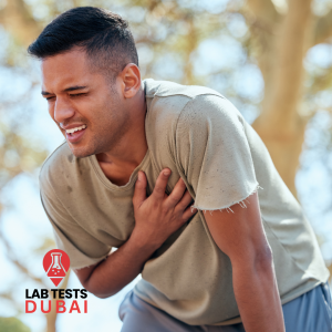 Apolipoprotein B (ApoB) Serum Test