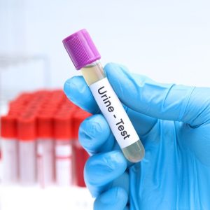STD 8 Panel Test