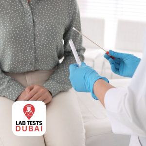 STD 12 Panel Test