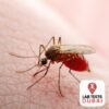 Zika Virus IgG & IgM Test