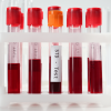 STD 7 Panel Test AED 550 Comprehensive & Confidential Screening