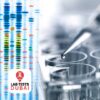Ascitic Fluid Test